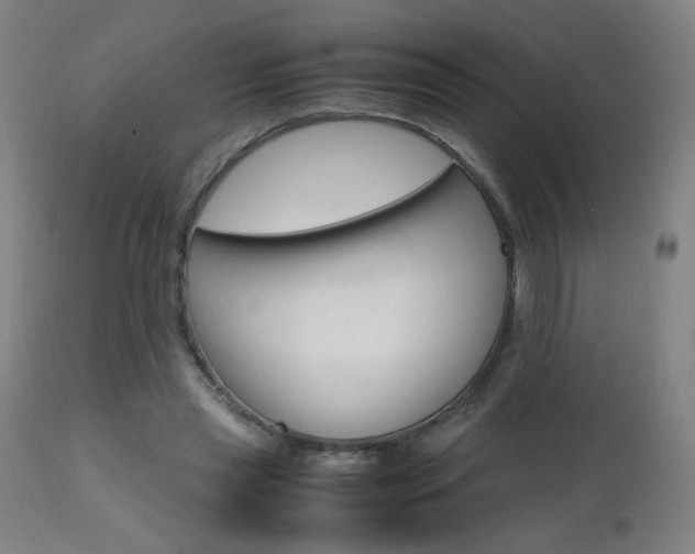 X0000112970445200908270947