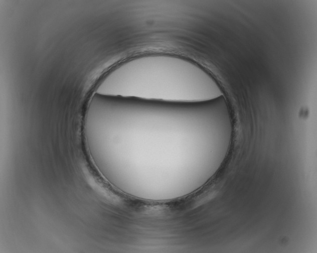 X0000112970446200908270947