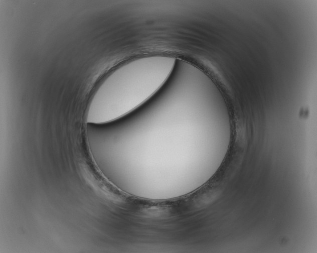 X0000112970447200908270947