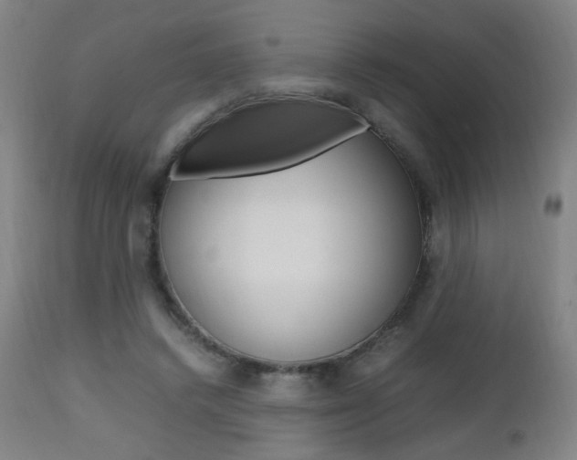 X0000112970448200908270947