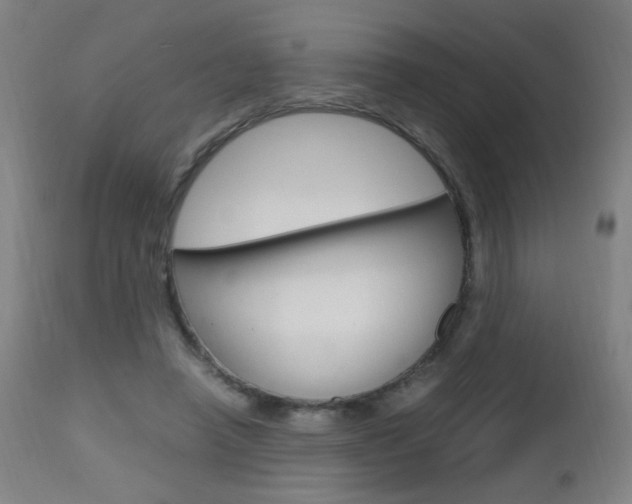 X0000112970450200908270947