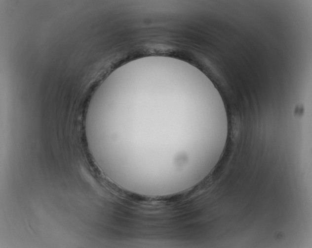 X0000112970451200908270947