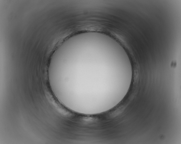 X0000112970453200908270947
