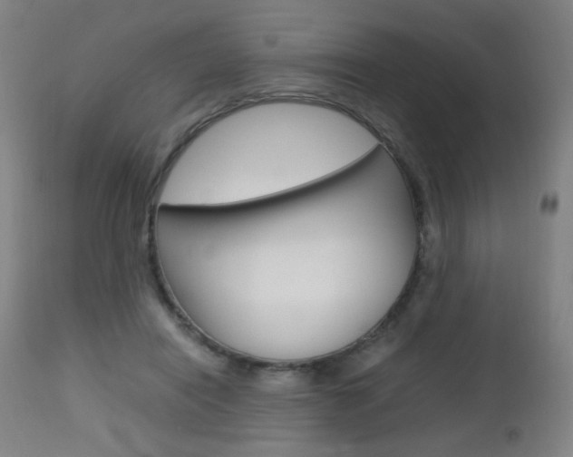 X0000112970454200908270947