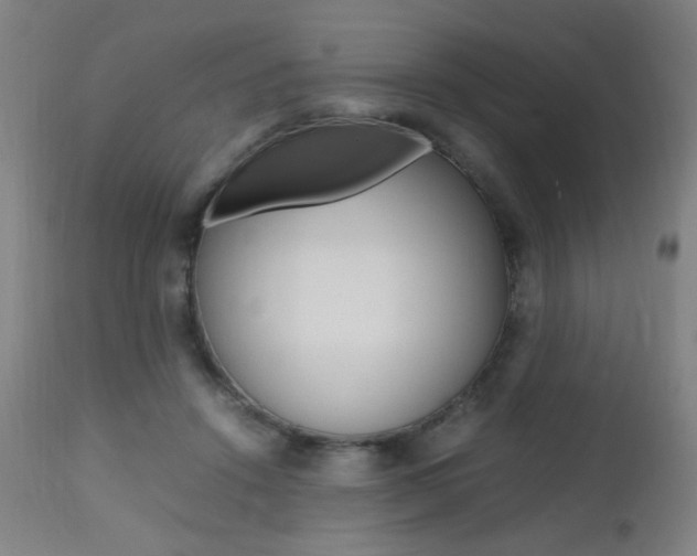X0000112970456200908270947
