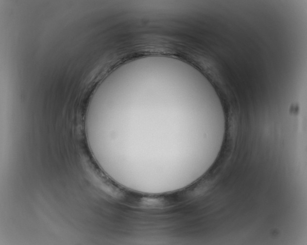 X0000112970457200908270947