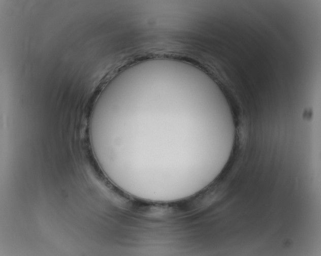 X0000112970458200908270947