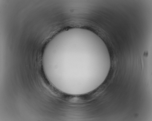 X0000112970460200908270947