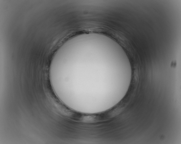 X0000112970461200908270947