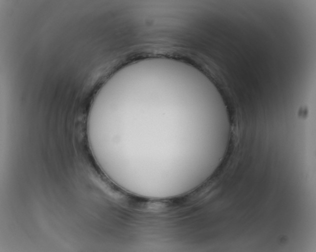 X0000112970462200908270947
