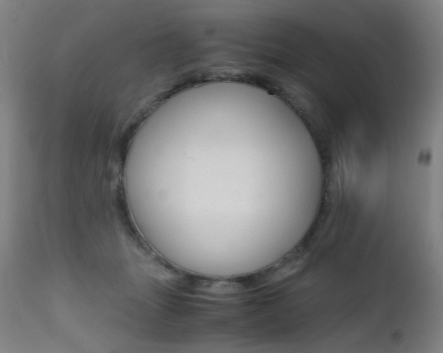 X0000112970463200908270947