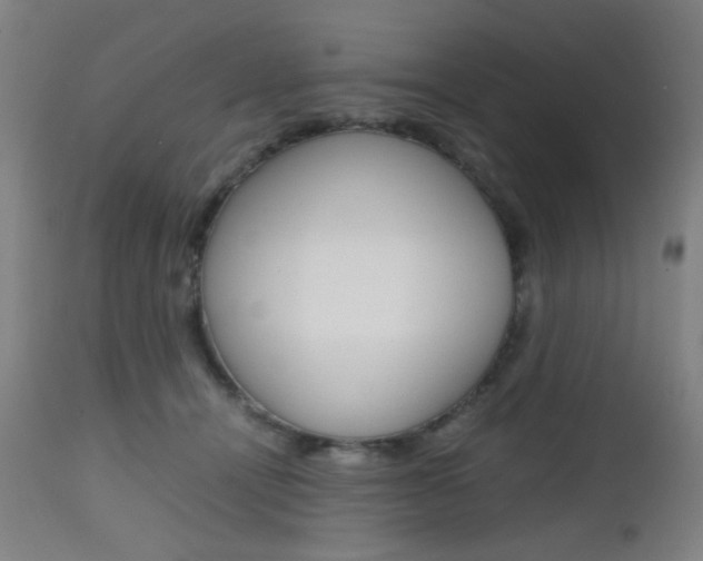 X0000112970464200908270947