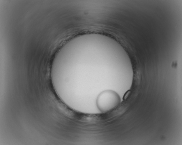 X0000112970466200908270947