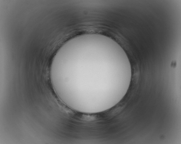 X0000112970469200908270947