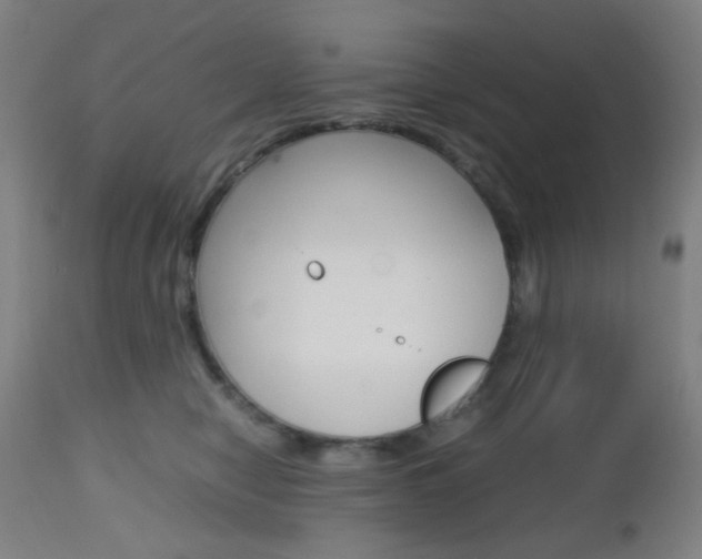 X0000112970470200908270947