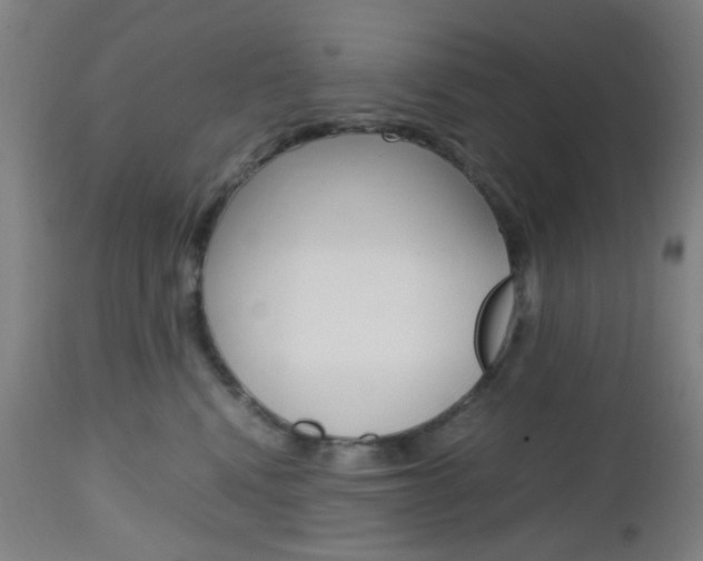 X0000112970472200908270947