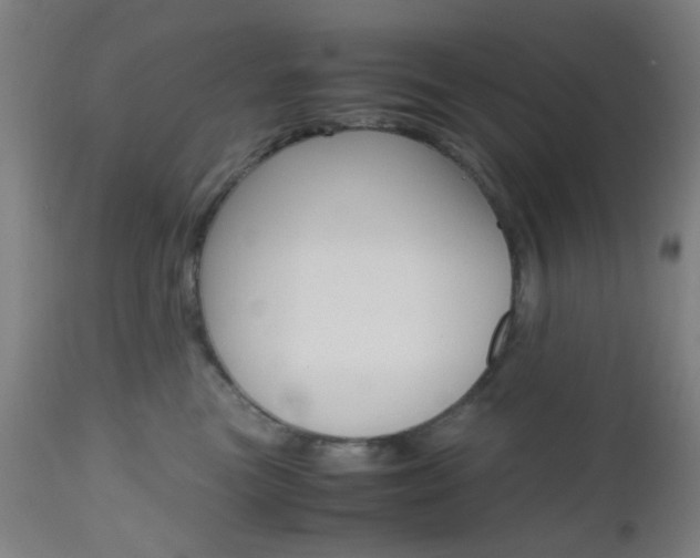 X0000112970473200908270947