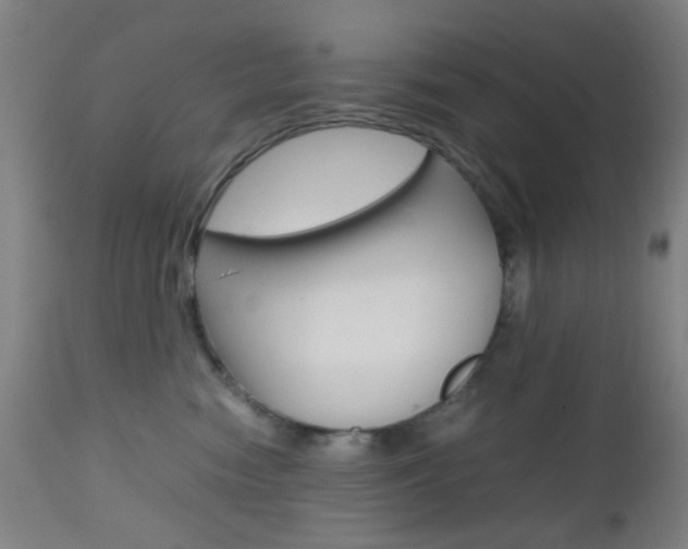 X0000112970474200908270947