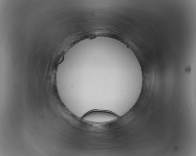 X0000112970475200908270947