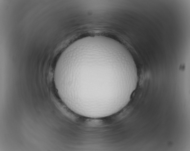 X0000112970476200908270947
