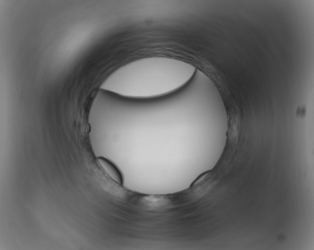 X0000112970477200908270947