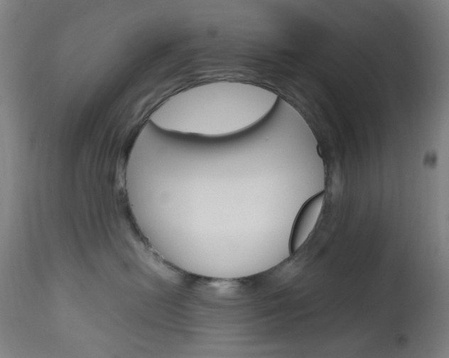 X0000112970478200908270947