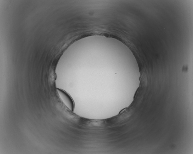 X0000112970479200908270947