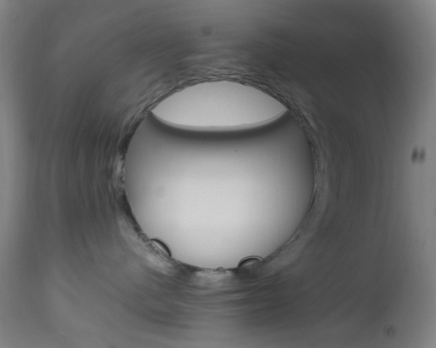 X0000112970480200908270947