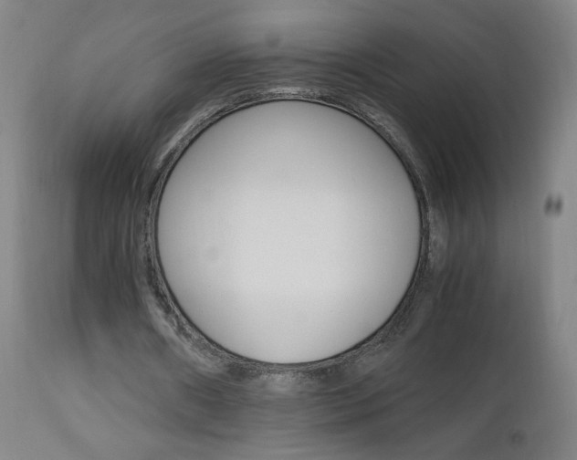 X0000112970482200908270947
