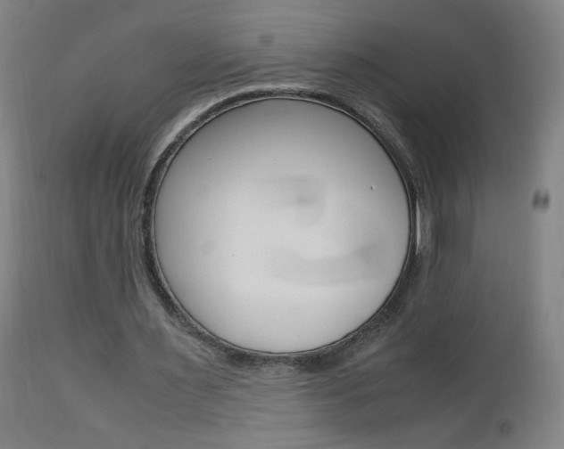 X0000112970483200908270947