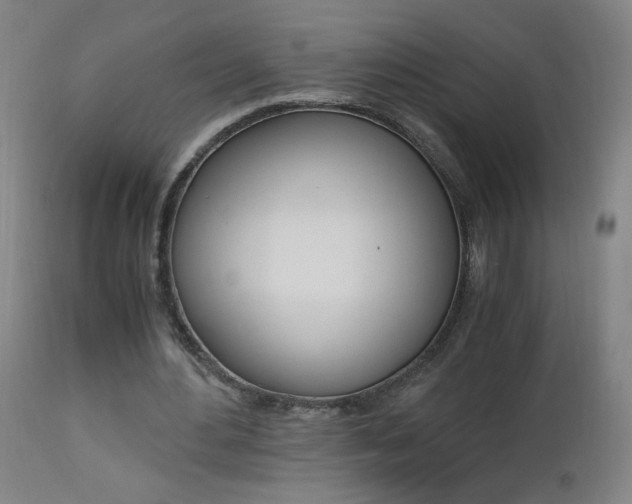 X0000112970484200908270947