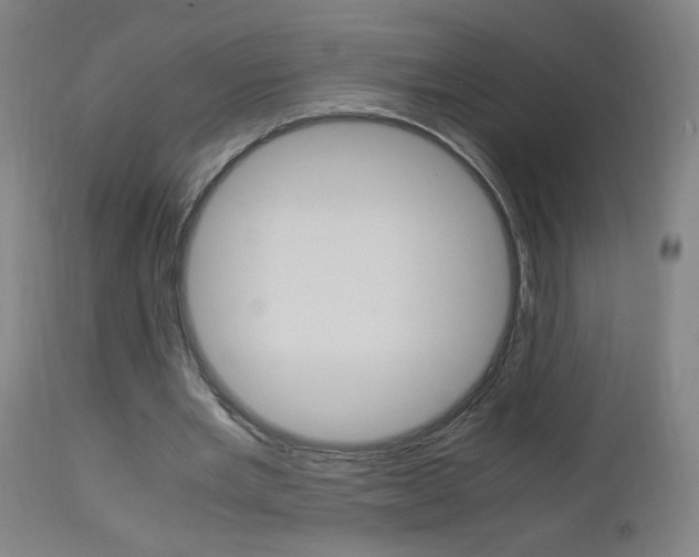 X0000112970485200908270947