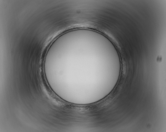 X0000112970486200908270947
