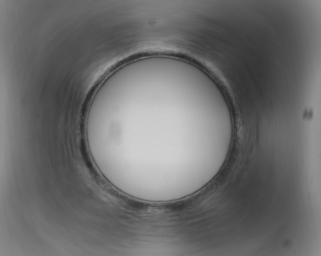 X0000112970487200908270947