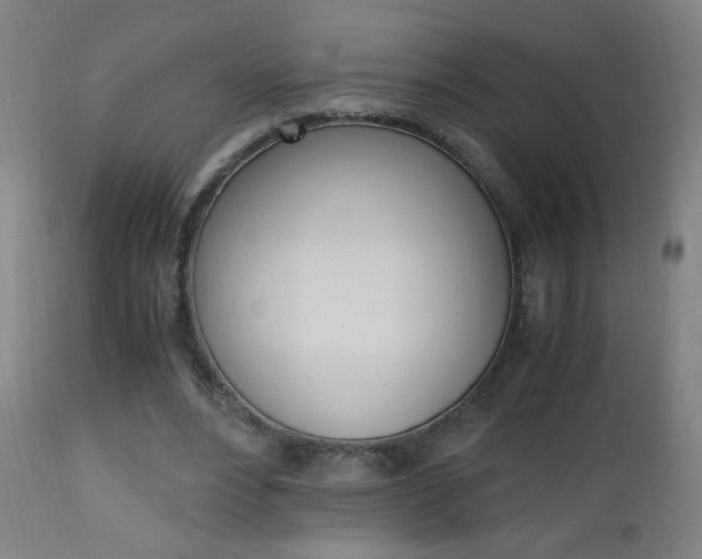 X0000112970488200908270947