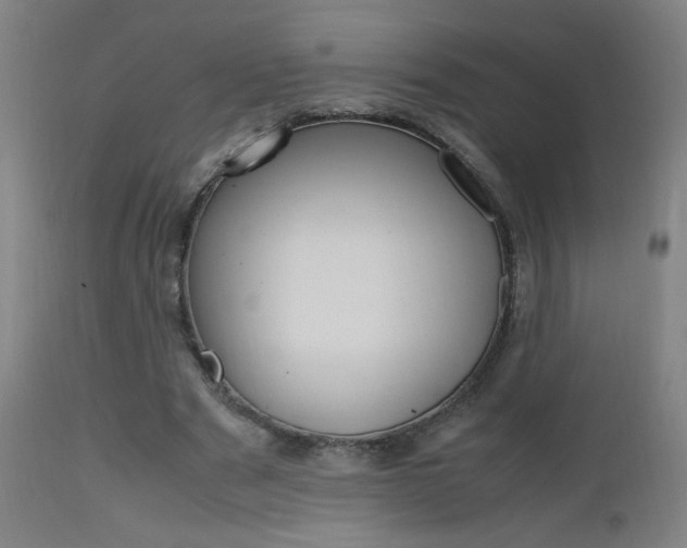 X0000112970489200908270947