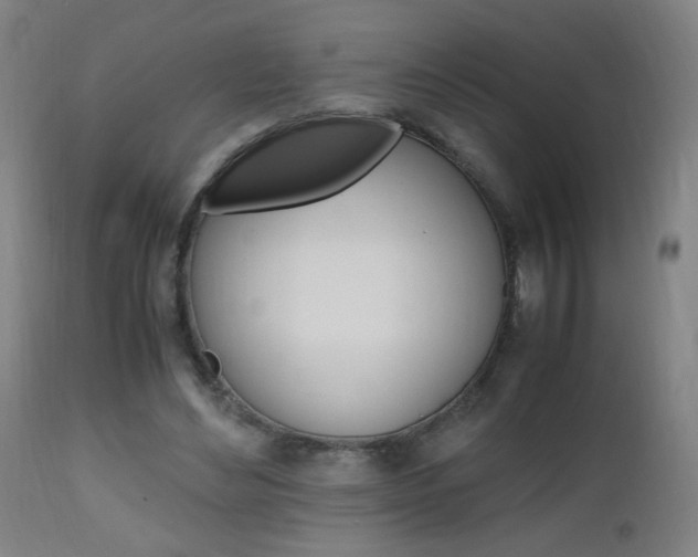 X0000112970492200908270947