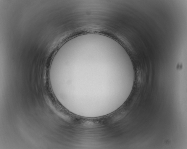 X0000112970494200908270947