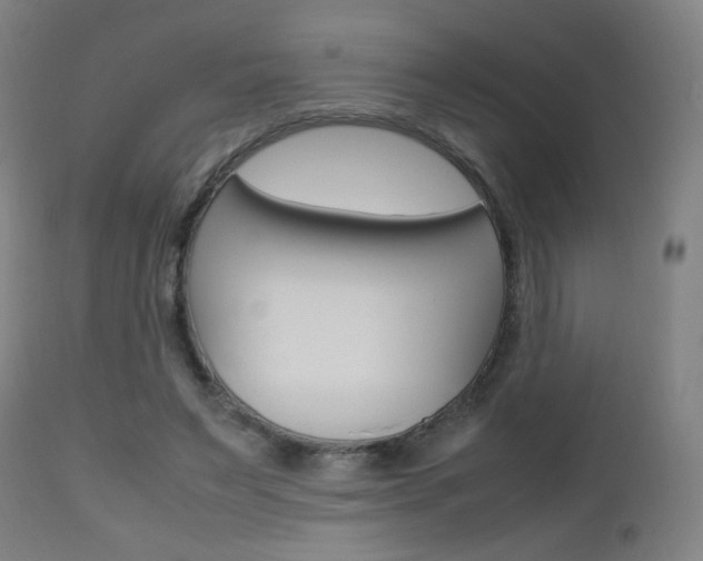 X0000112970495200908270947