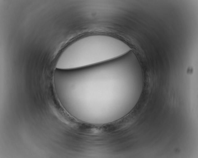 X0000112970496200908270947
