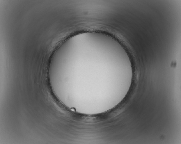 X0000112970497200908270947
