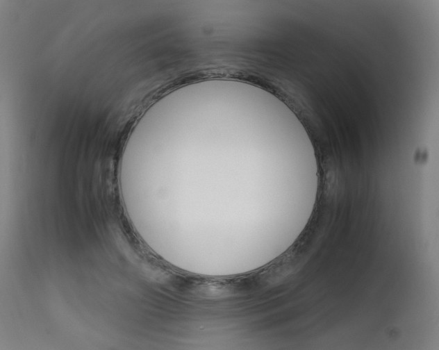 X0000112970498200908270946