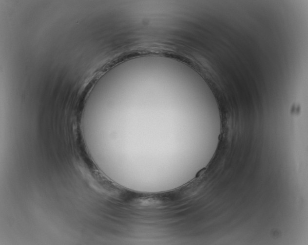 X0000112970500200908270946
