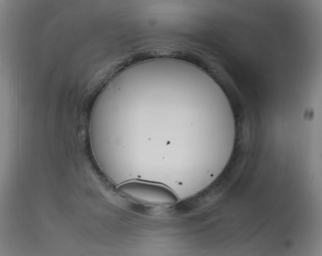 X0000112970505200908270946