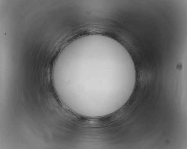 X0000112970506200908270946