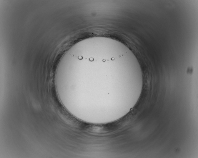 X0000112970507200908270946