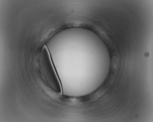 X0000112970509200908270946