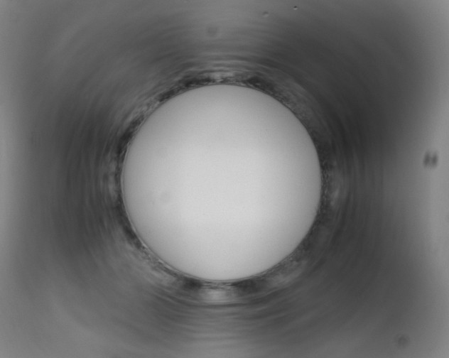 X0000112970510200908270946