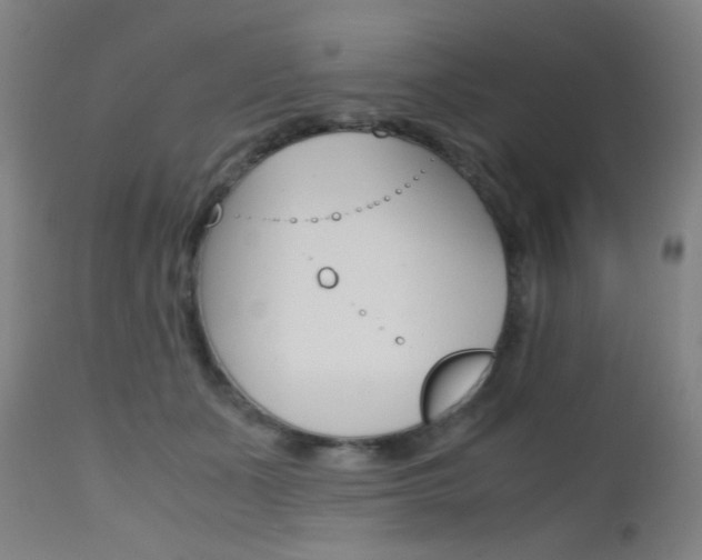 X0000112970511200908270946