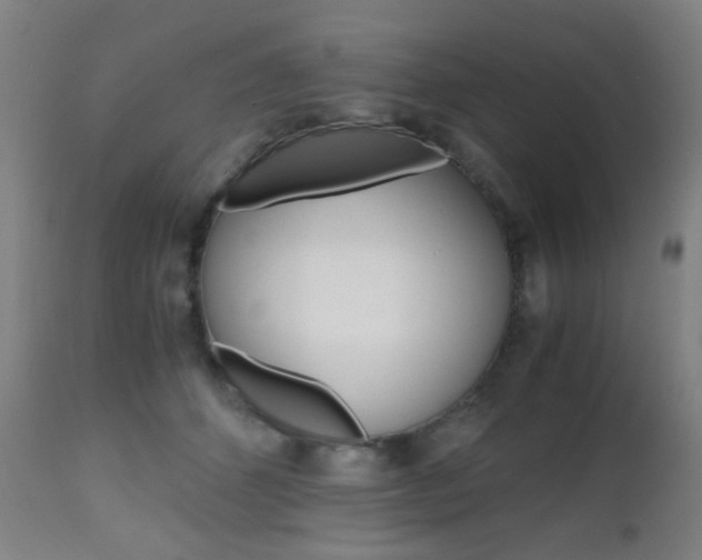 X0000112970512200908270946
